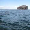 Scottish Seabird Centre North Berwick