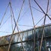 Plant Houses Royal Botanic Gardens Edinburgh