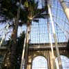 RBGE Palm House interior