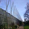 Botanic Gardens Plant Houses