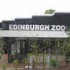 Edinburgh Zoo