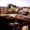 Museum of Scotland Rooftop