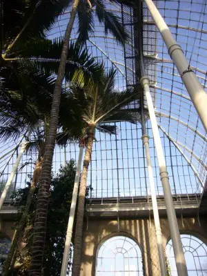 Royal Botanic Gardens Edinburgh Temperate Palm House interior