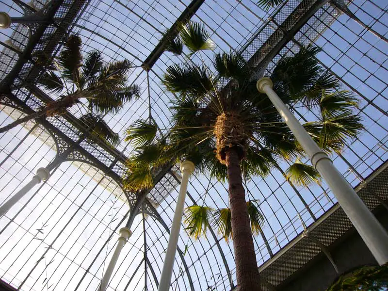 Royal Botanic Gardens Edinburgh Temperate Palm House