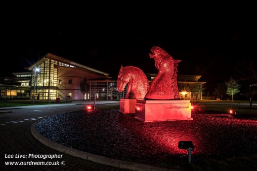 mini-Kelpies on display at the Vet School