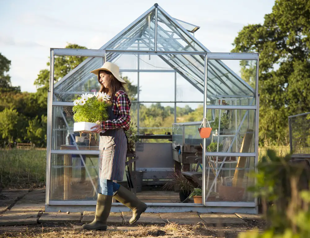 9 Benefits Of Investing In Greenhouses