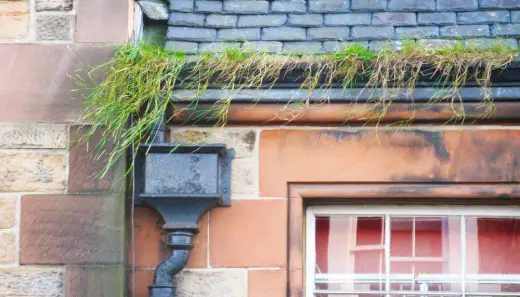 Blocked gutters in the World Heritage Site