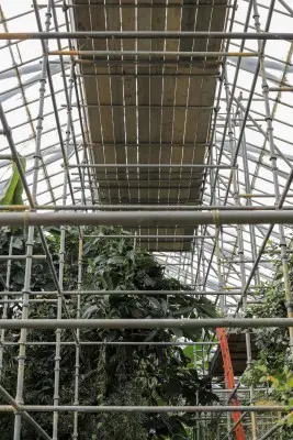 RBGE Edinburgh glasshouse restoration