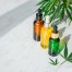 Where is a Good Place to Buy CBD Oil?