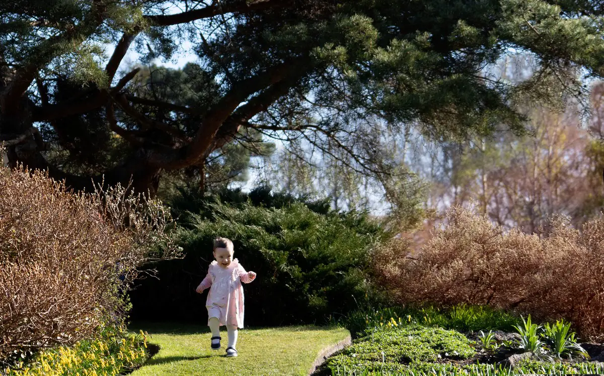 Royal Botanic Garden Edinburgh