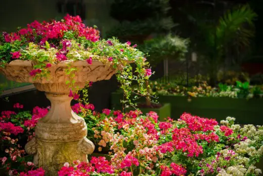 5 tips to decorate your garden