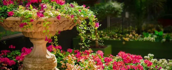 5 tips to decorate your garden