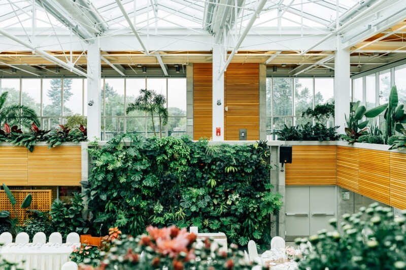 How to use plants to create epic workspace