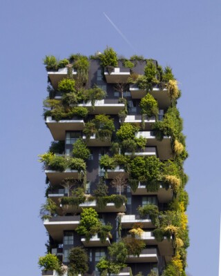 Architects environmentally friendly work guide