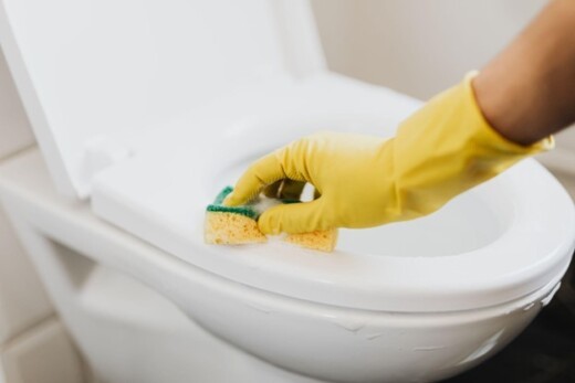 benefits do domestic cleaning services toilet