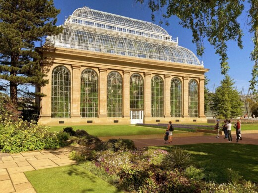 Royal Botanic Garden Edinburgh Palm Houses restored