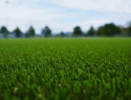 Consider this when Choosing Turf for your Home