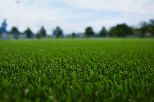 Consider this when Choosing Turf for your Home