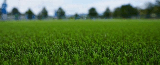 Consider this when Choosing Turf for your Home