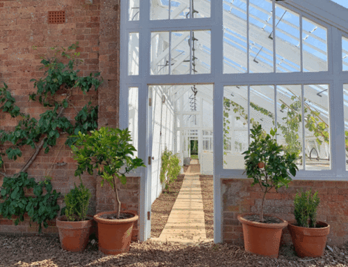 Tips for a conservatory that is warm all year