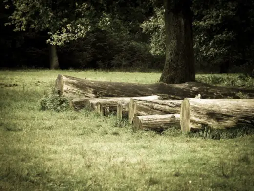 British tree trunks timber industry