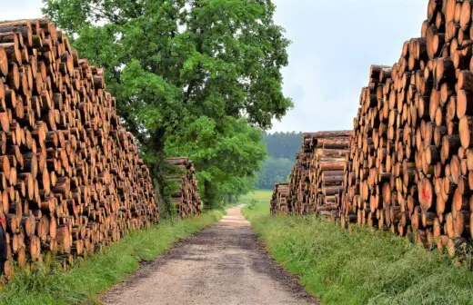 UK sustainable timber industry construction